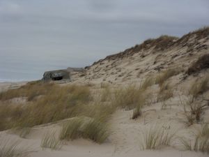 Blokhaus en position sur la dune